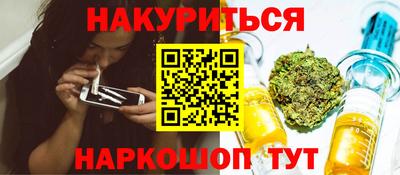 шишки Кандалакша