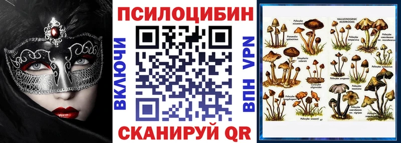дарнет шоп  дарк нет официальный сайт  Псилоцибиновые грибы прущие грибы  Михайловка 