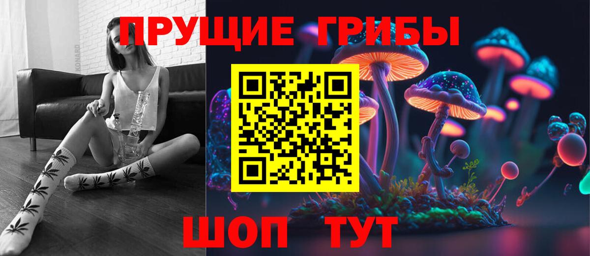 Михайловка  Галлюциногенные грибы прущие грибы  Вход с VPN  Псилоцибиновые грибы мухоморы 